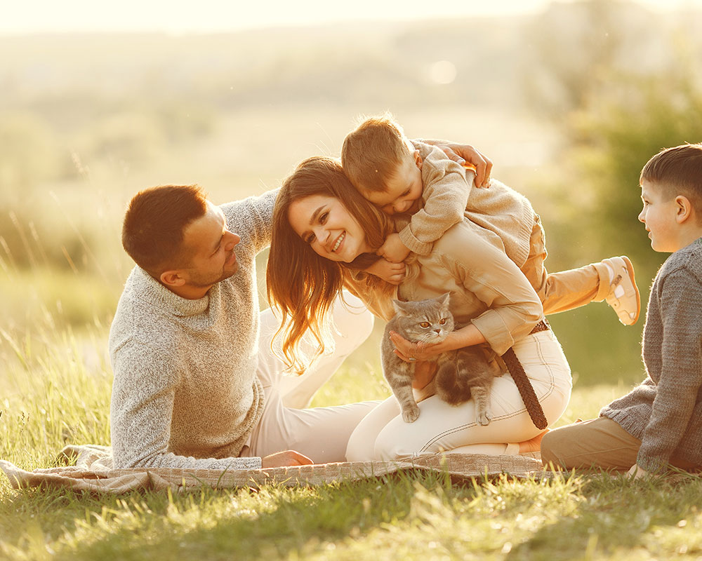 Opakim'de Çalışmak